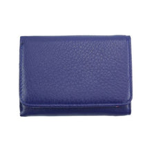 Load image into Gallery viewer, Sole Terra Handbags Leather Colorblock Wallet